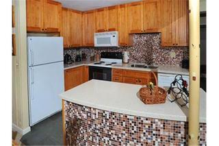 Vantage Point Apartment Vail